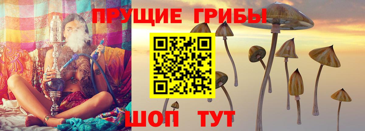 Медногорск  Псилоцибиновые грибы GOLDEN TEACHER  Вход с VPN 